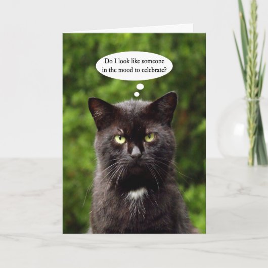 Grappig Moody Black Cat verjaardagskaart Kaart (Voorkant)