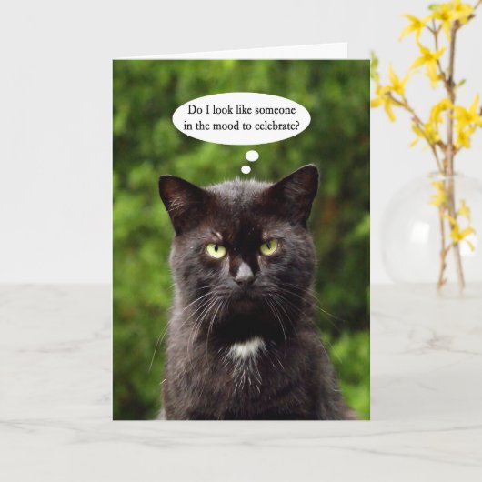 Grappig Moody Black Cat verjaardagskaart Kaart (Gele Bloem)
