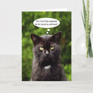 Grappig Moody Black Cat verjaardagskaart Kaart