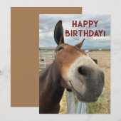 GRAPPIG Mule Verjaardag Dier Kaart Echt Oor (Voorkant / Achterkant)