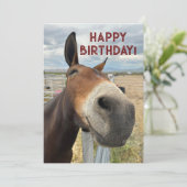 GRAPPIG Mule Verjaardag Dier Kaart Echt Oor (Staand voorkant)