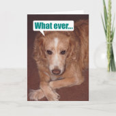 Grappig Mutt met Atitude Birthday Card Kaart (Voorkant)