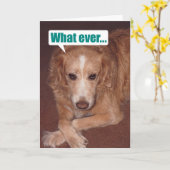 Grappig Mutt met Atitude Birthday Card Kaart (Gele Bloem)