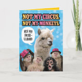 Grappig niet mijn Circus, niet mijn apen van de da Kaart (Voorkant)