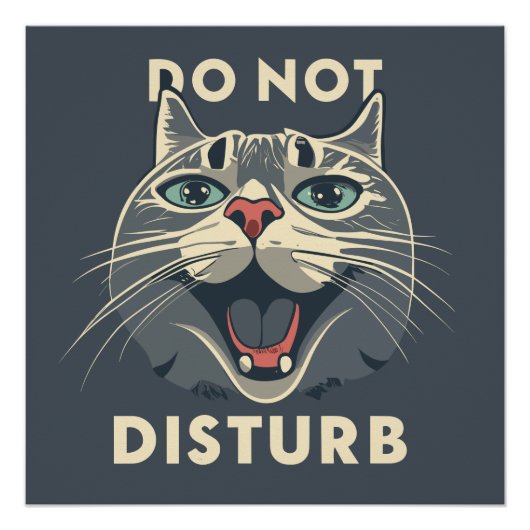Grappig niet storen perfect poster (Voorkant)