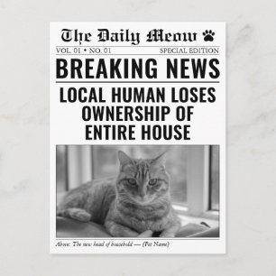 Grappig Nieuw Kat Krant Breaking News Foto Aankondigingskaart