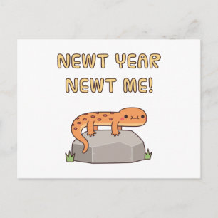 Grappig Nieuwjaar Salamander, Nieuwjaarsvoornemens Briefkaart