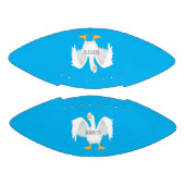 Grappig nieuwsgierig als cartoon american football (Panelen)