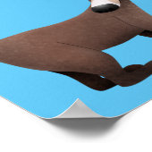 Grappig nieuwsgierig coatimundi cartoon illustrati poster (Hoek)