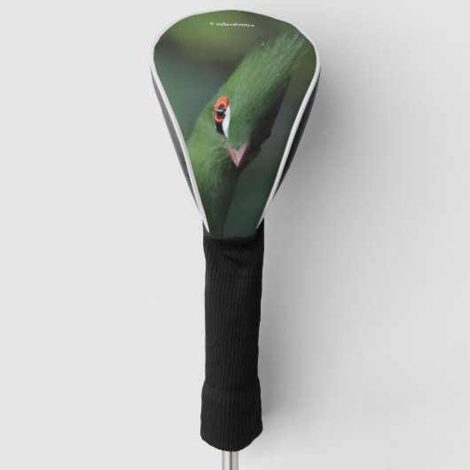 Grappig nieuwsgierig Guinee Turaco Green Bird Golfheadcover (Voorkant)