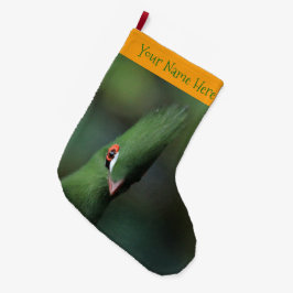 Grappig nieuwsgierig Guinee Turaco Green Bird Grote Kerstsok