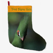 Grappig nieuwsgierig Guinee Turaco Green Bird Grote Kerstsok (Voorkant)