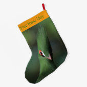 Grappig nieuwsgierig Guinee Turaco Green Bird Grote Kerstsok (Achterkant (Hangend))