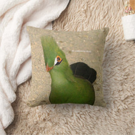 Grappig nieuwsgierig Guinee Turaco Green Bird Kussen