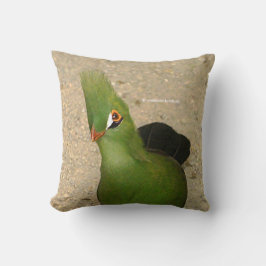 Grappig nieuwsgierig Guinee Turaco Green Bird Kussen