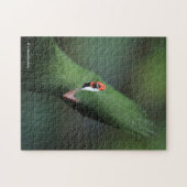 Grappig nieuwsgierig Guinee Turaco Green Bird Legpuzzel (Horizontaal)