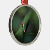 Grappig nieuwsgierig Guinee Turaco Green Bird Metalen Ornament (Rechts)