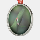 Grappig nieuwsgierig Guinee Turaco Green Bird Metalen Ornament (Links)