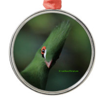 Grappig nieuwsgierig Guinee Turaco Green Bird
