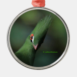 Grappig nieuwsgierig Guinee Turaco Green Bird Metalen Ornament