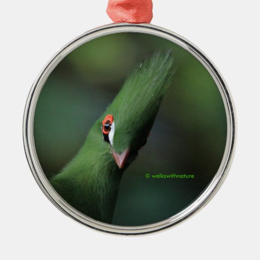 Grappig nieuwsgierig Guinee Turaco Green Bird Metalen Ornament (Voorkant)