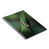 Grappig nieuwsgierig Guinee Turaco Green Bird Notitieboek (Rechterzijde)