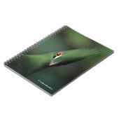 Grappig nieuwsgierig Guinee Turaco Green Bird Notitieboek (Linkerzijde)