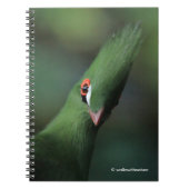 Grappig nieuwsgierig Guinee Turaco Green Bird Notitieboek (Voorkant)