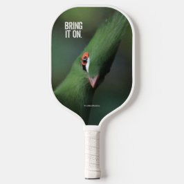 Grappig nieuwsgierig Guinee Turaco Green Bird Pickleball Paddle