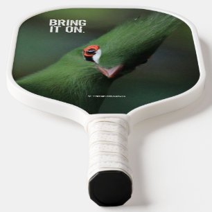 Grappig nieuwsgierig Guinee Turaco Green Bird Pickleball Paddle