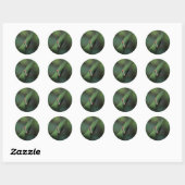 Grappig nieuwsgierig Guinee Turaco Green Bird Ronde Sticker (Vel)