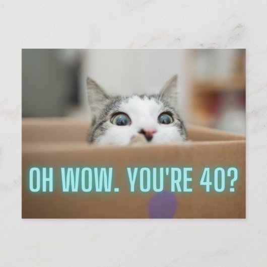 Grappig nieuwsgierig kat 40th Birthday Briefkaart (Voorkant)