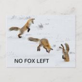 Grappig "No Fox left" Briefkaart (Voorkant)