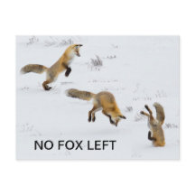 Grappig "No Fox left"