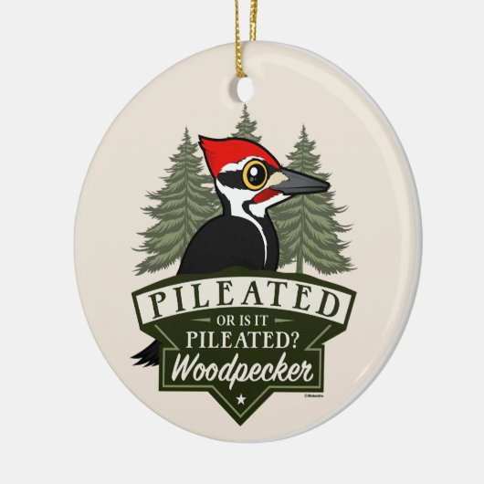 Grappig of is het gepilde specht uitspraak keramisch ornament (Links)