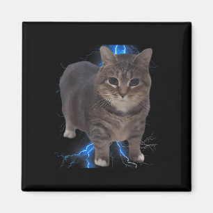 Grappig Oia Oia Spinning Cat Meme Cat Brainrot Magneet