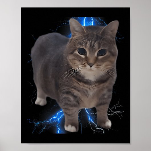 Grappig Oia Oia Spinning Cat Meme Cat Brainrot Poster (Voorkant)