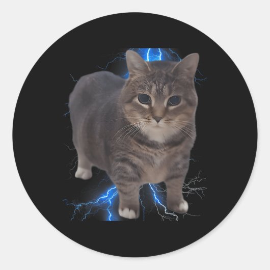 Grappig Oia Oia Spinning Cat Meme Cat Brainrot Ronde Sticker (Voorkant)