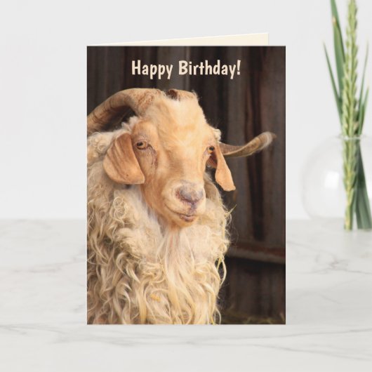Grappig "Old Goat" citaat van Birthday Kaart (Voorkant)