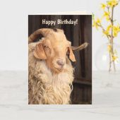 Grappig "Old Goat" citaat van Birthday Kaart (Gele Bloem)