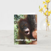 Grappig om ouder te worden Verjaardag Humor Kaart (Gele Bloem)