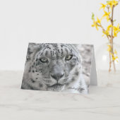 Grappig om te denken aan je Kaart Hungry Snow Leop (Gele Bloem)