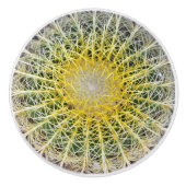 Grappig onaangename Arid Cactus Keramische Knop (Voorkant)