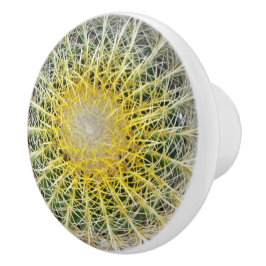 Grappig onaangename Arid Cactus Keramische Knop