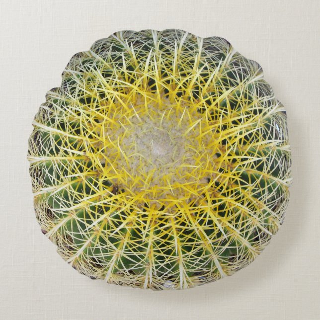 Grappig onaangename botanische Wereldbol Cactus Rond Kussen (Voorkant)