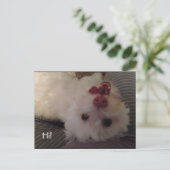 Grappig ondersteboven wit puppy Hi briefkaart (Staand voorkant)