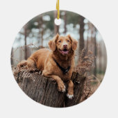 Grappig ondeugend de leuke lijst huisdier foto ker keramisch ornament (Achterkant)