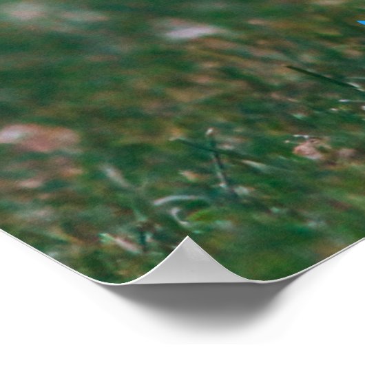 grappig onroerend goed dat je je volgende homepage poster (Hoek)