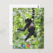 Grappig onroerend goed, hou je niet bezig briefkaart (Voorkant / Achterkant)