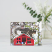 grappig onroerend goed vol met levende eekhoorn briefkaart (Staand voorkant)